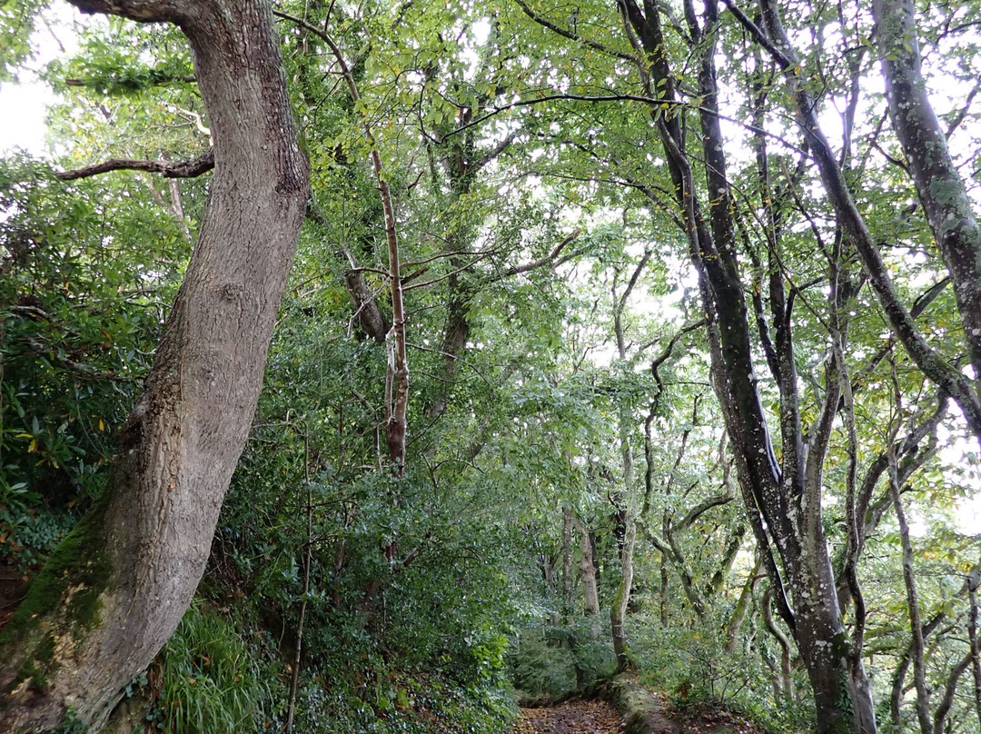 Sentier De Plomarc'h景点图片