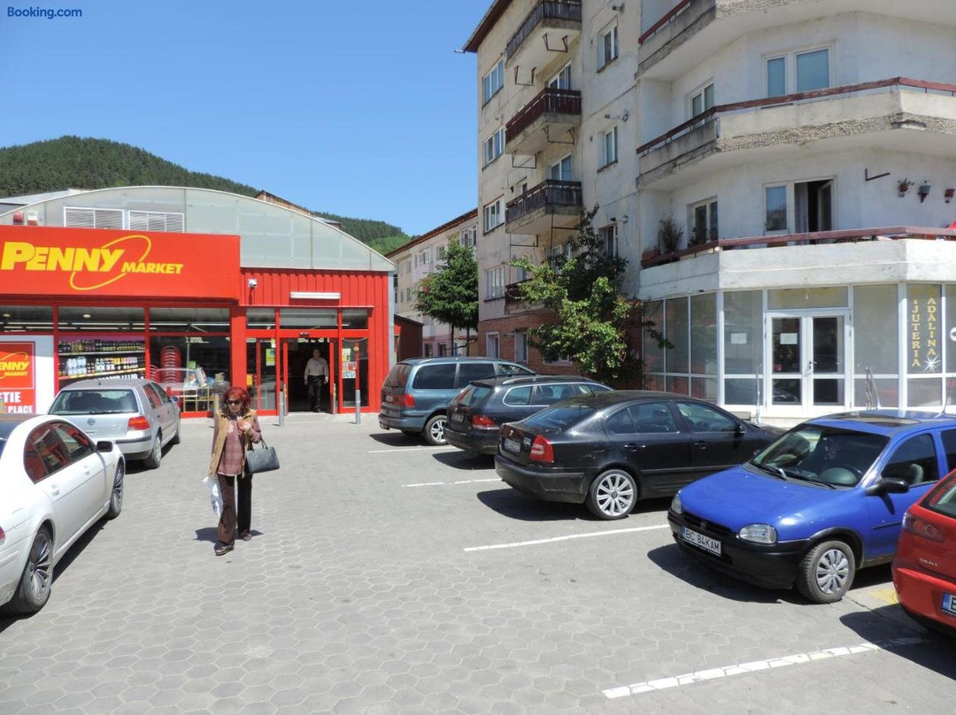 Casa Bucur