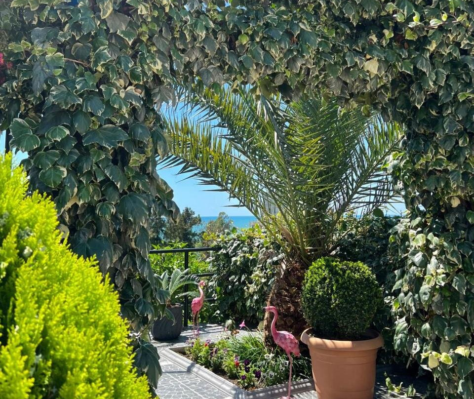 Kemeni Garden