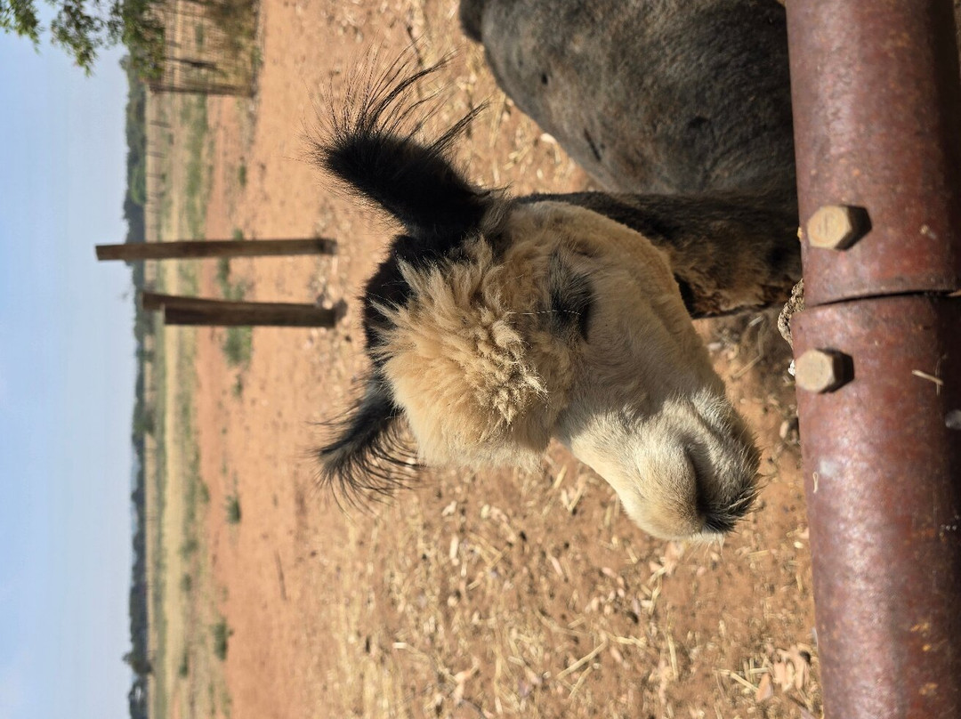 Greenough Wildlife & Bird Park-Greenough必去景点