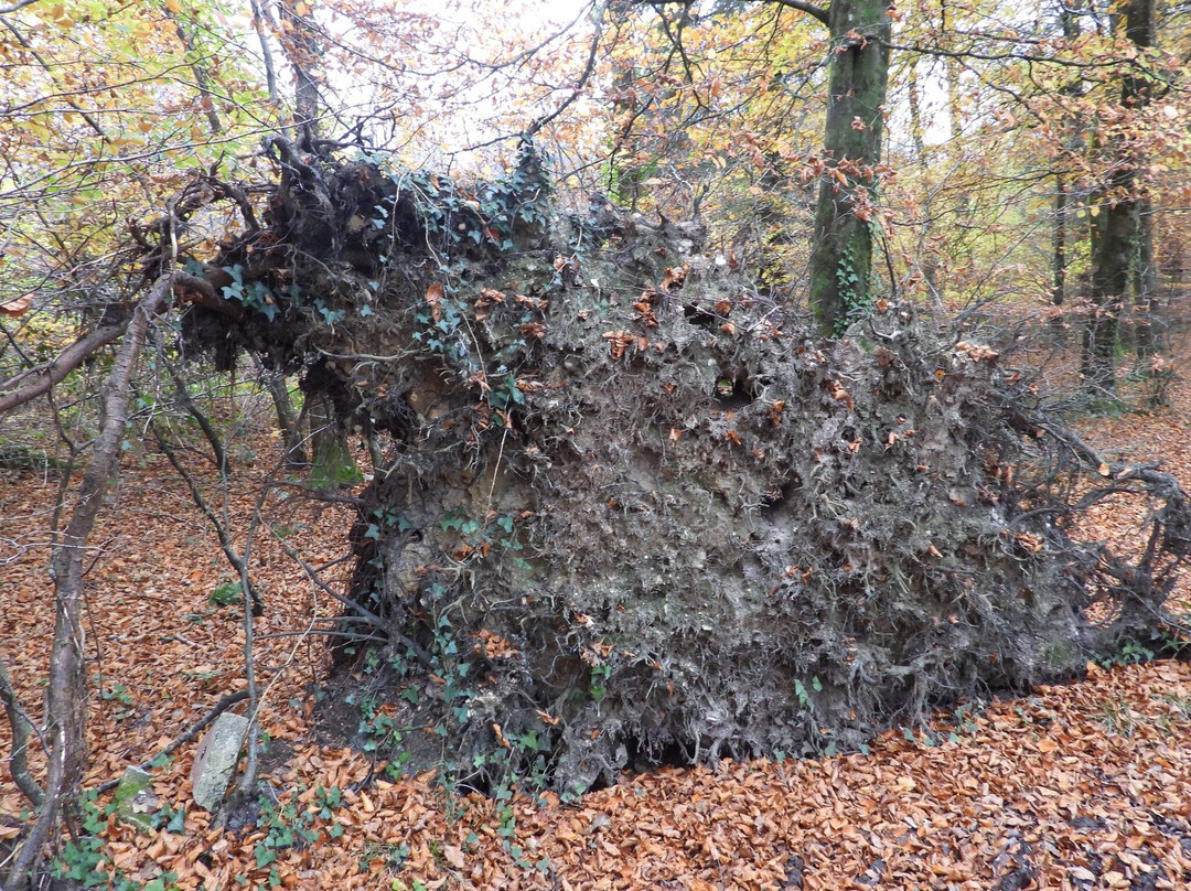 Sidmouth - Valley, Ridge and Jurassic Coast walk-西德茅斯必去景点