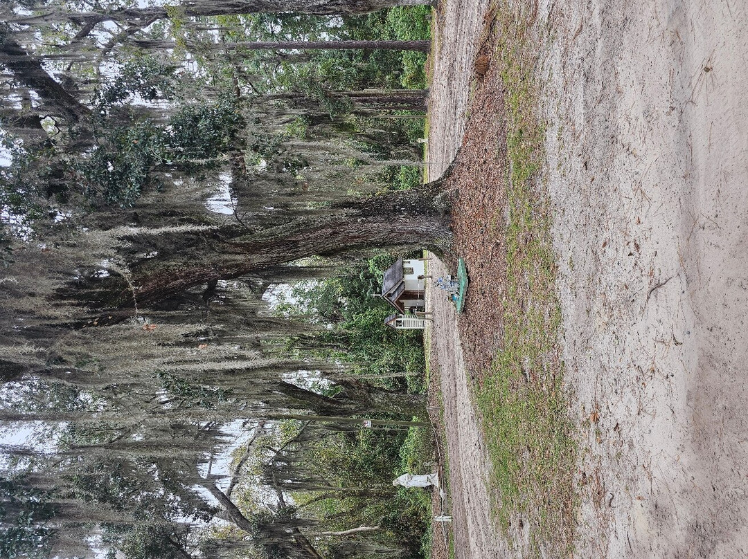 The Smallest Church in America-Townsend必去景点