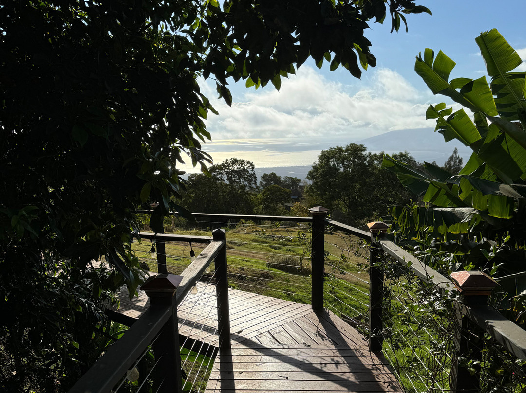 The Curtis Wilson Cost Gallery-库拉必去景点