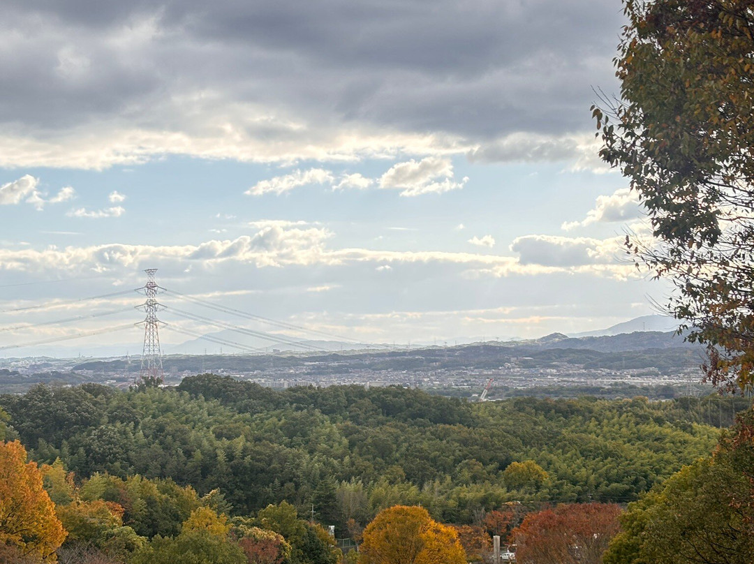 Konosuyama Sports Park-城阳市必去景点