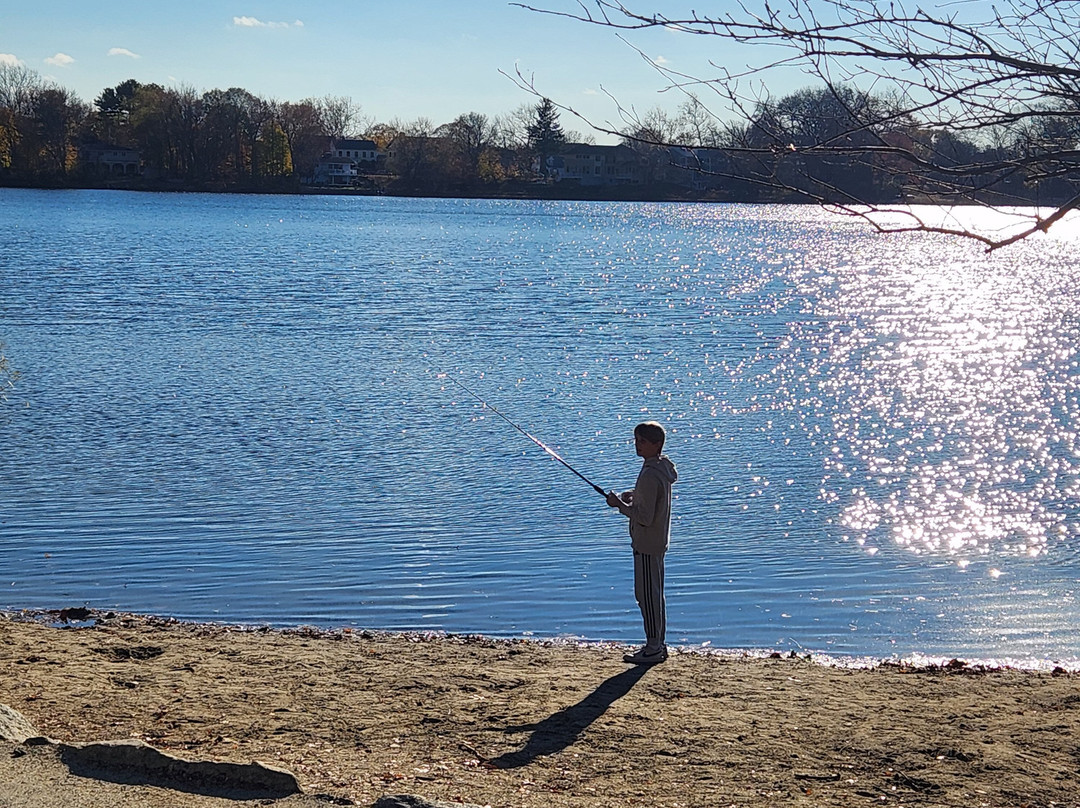 Spy Pond Park景点图片