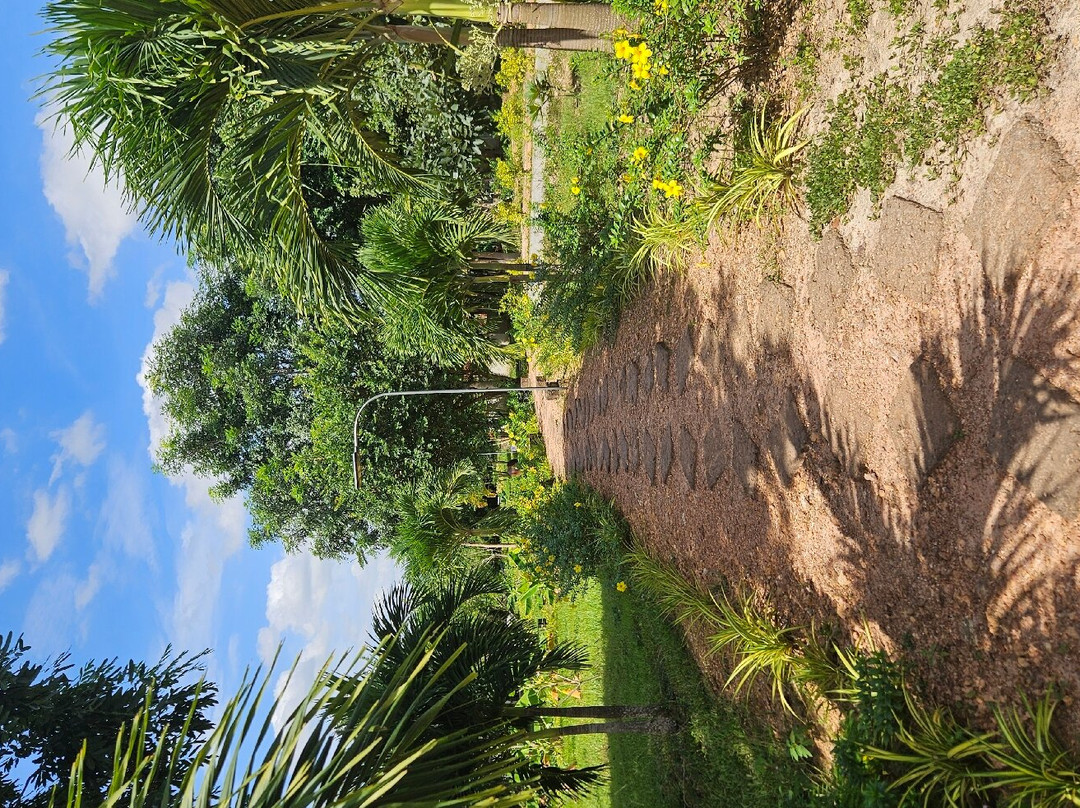 胡椒种植园-贡布必去景点