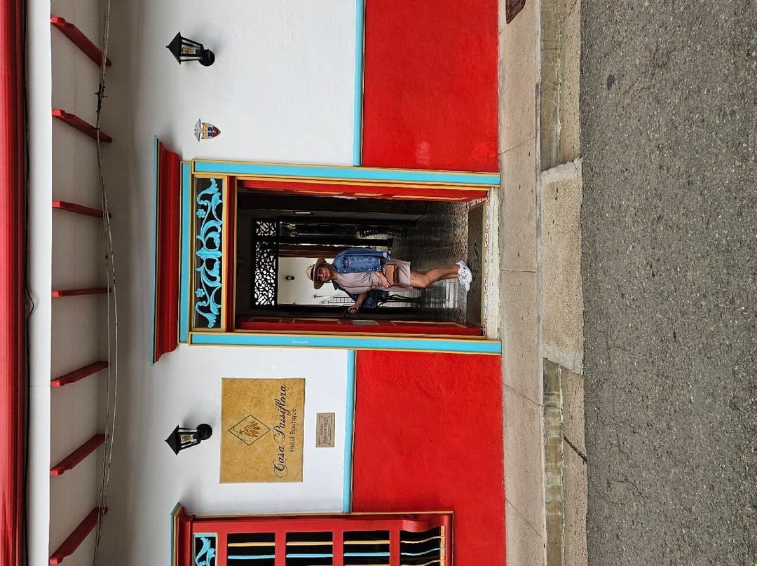 Casa Passiflora Hotel Boutique主图