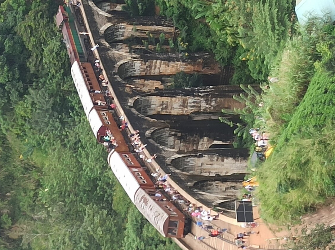 Hola Sri Lanka Tours景点图片