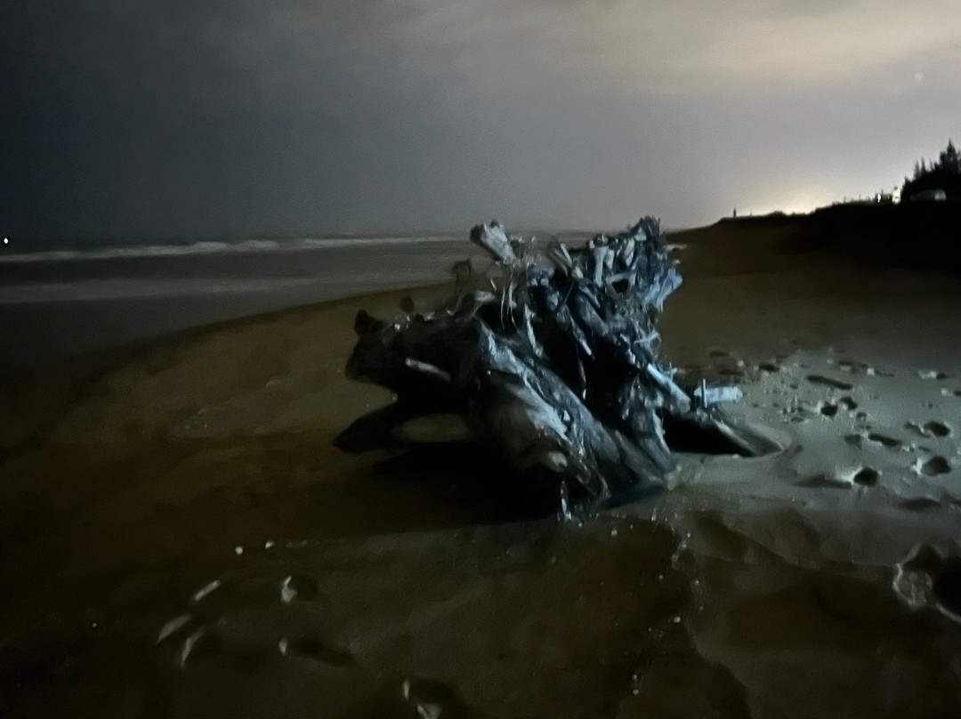 Quang Phu Sand Dunes景点图片