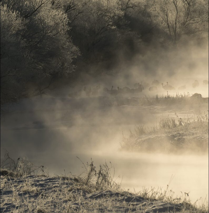 Otowa Bridge-鹤居村必去景点