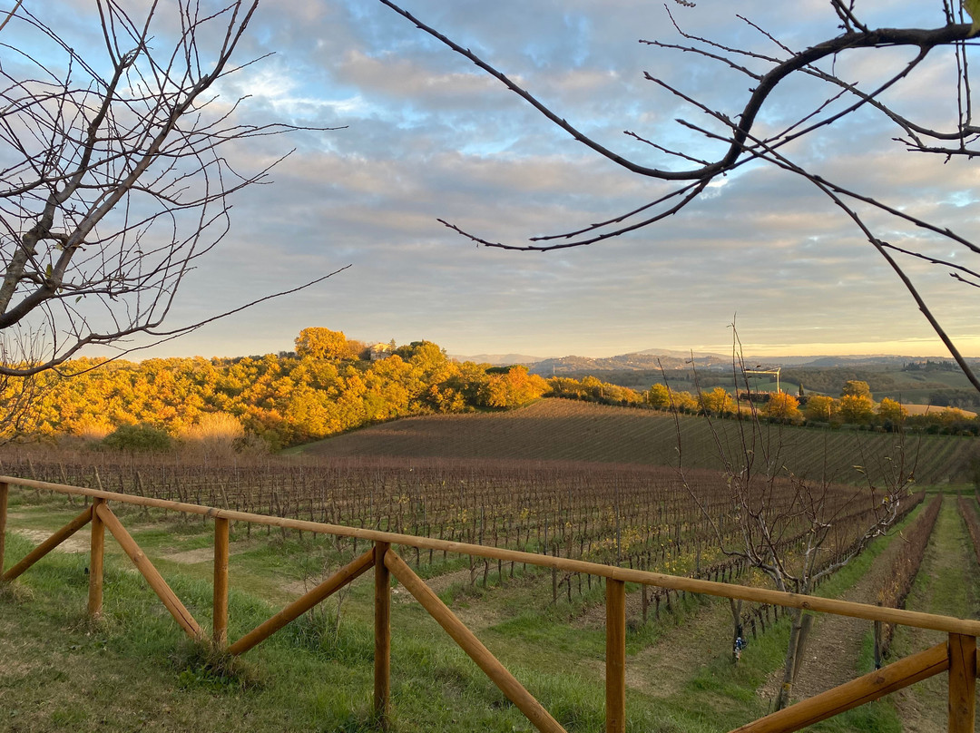 Poggio del Moro-基安奇安诺泰尔梅必去景点