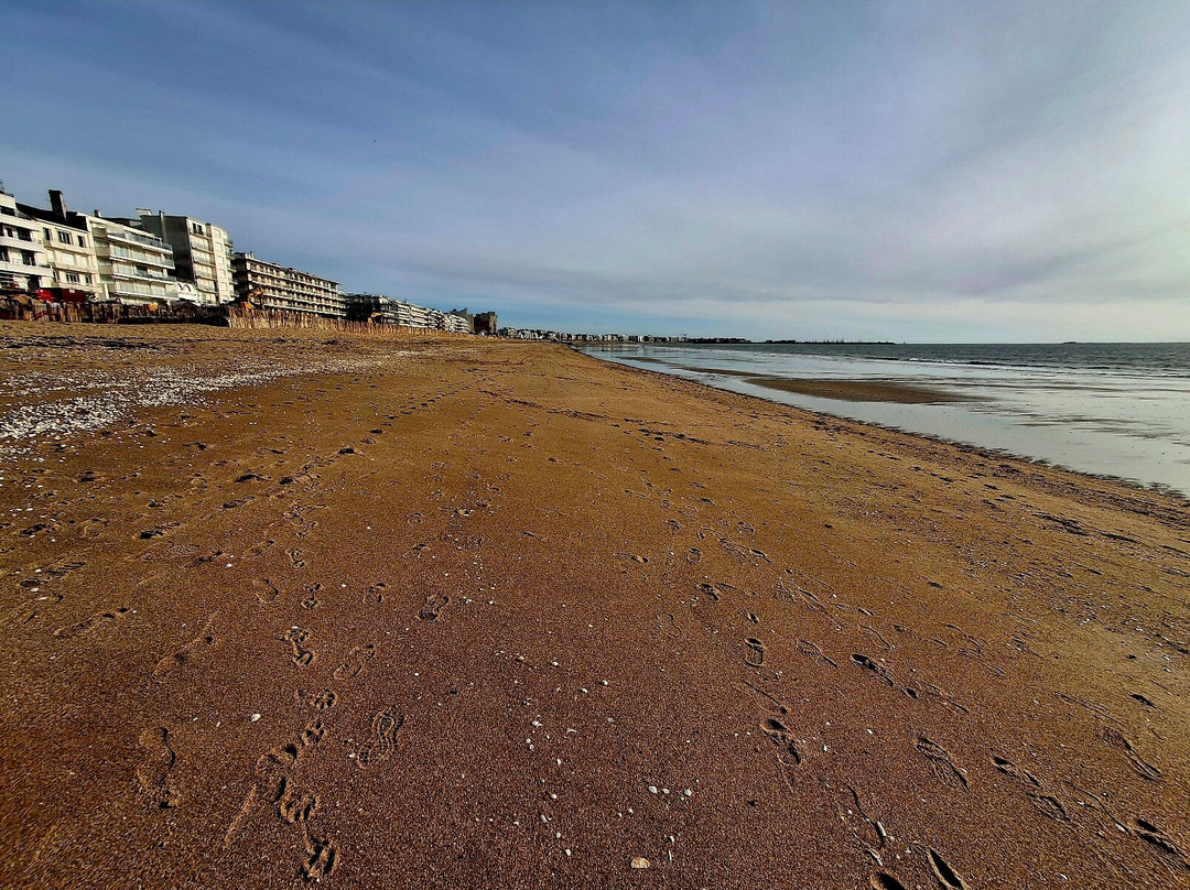 Plage de la Baule景点图片