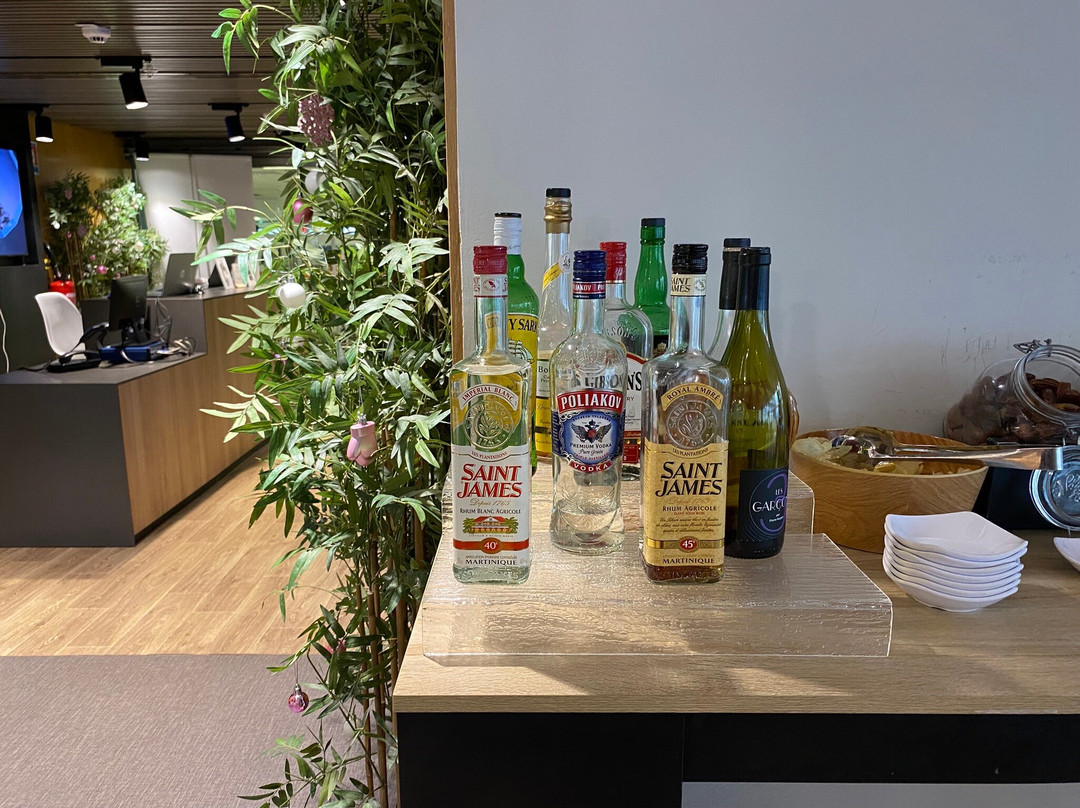 Premium Traveler Lounge Orly景点图片