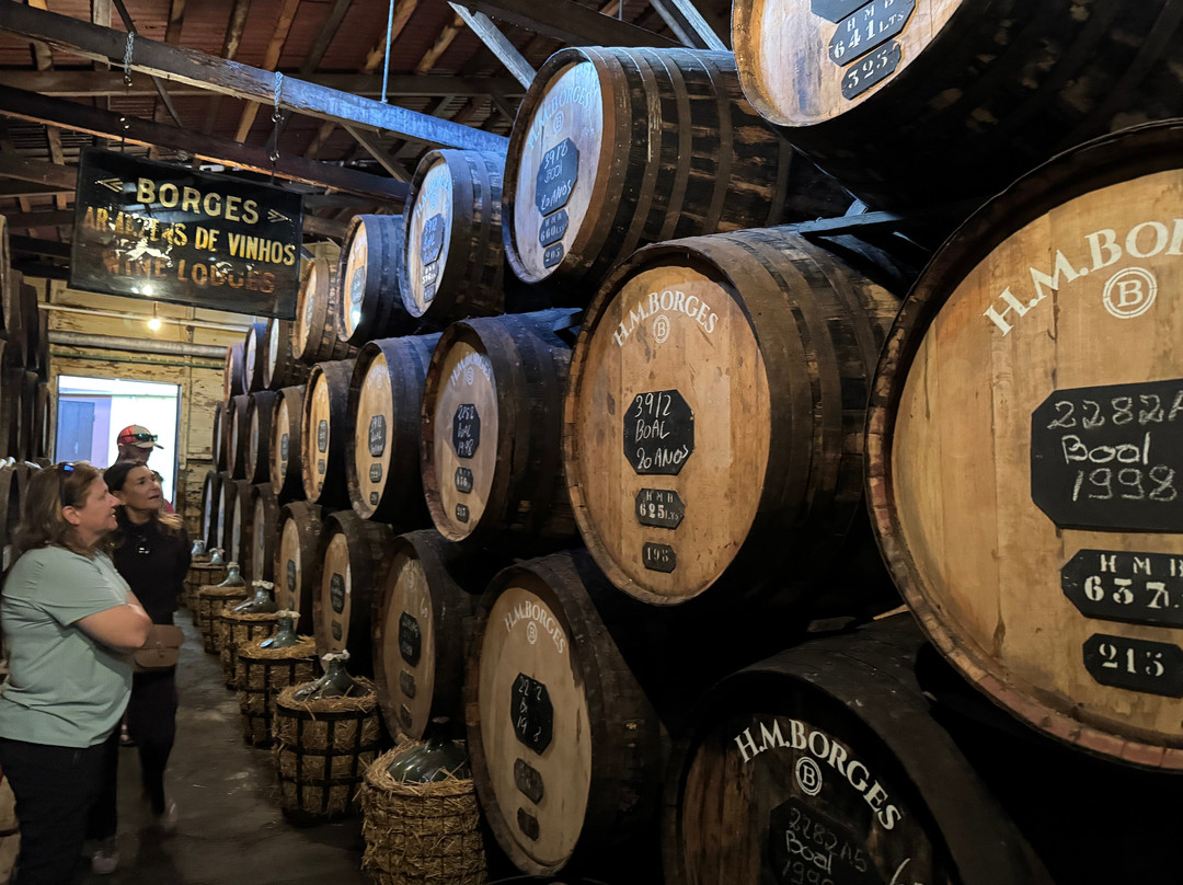 Madeira Exquisite Food on Foot Tours-沙尔必去景点