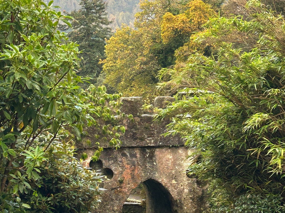 Tollymore Forest Park景点图片