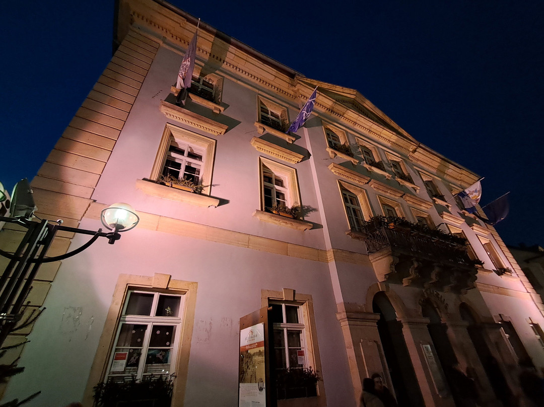 Rtahaus Landau/Pfalz景点图片