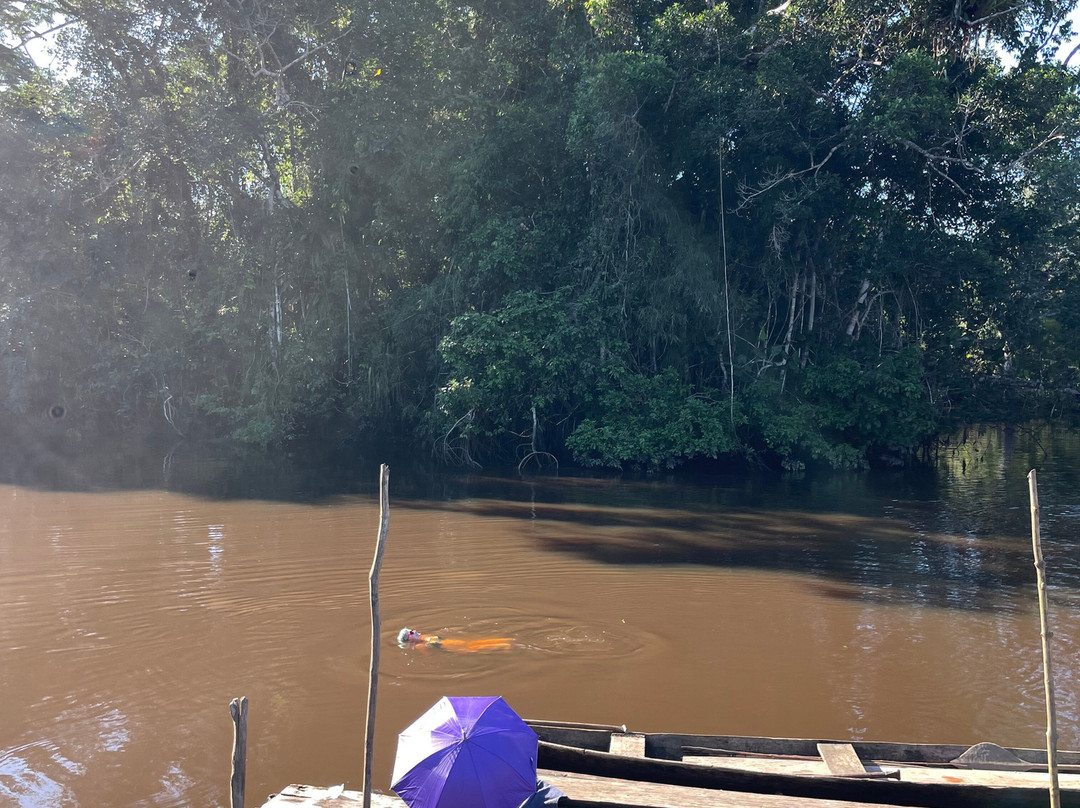 Roots Of The Amazon-Tarapoto必去景点