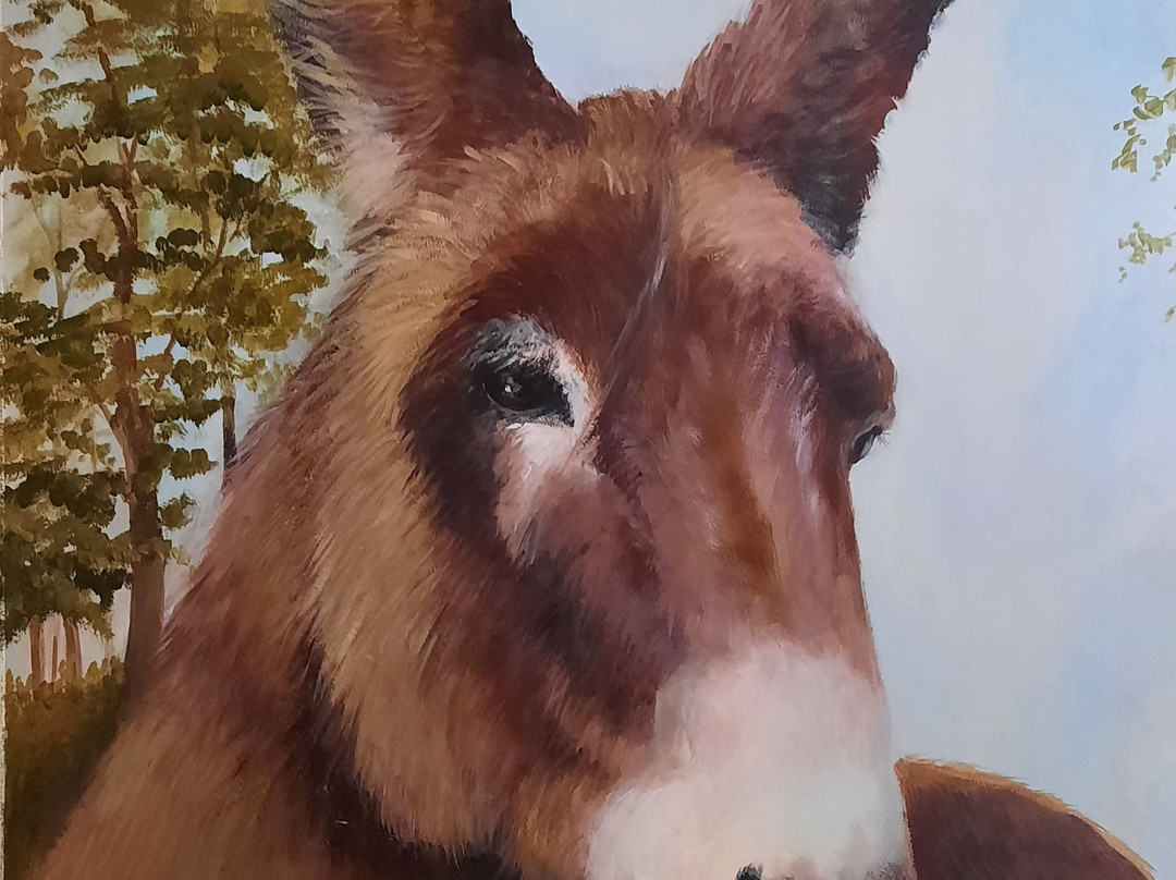 Le Pas de l'Ane主图