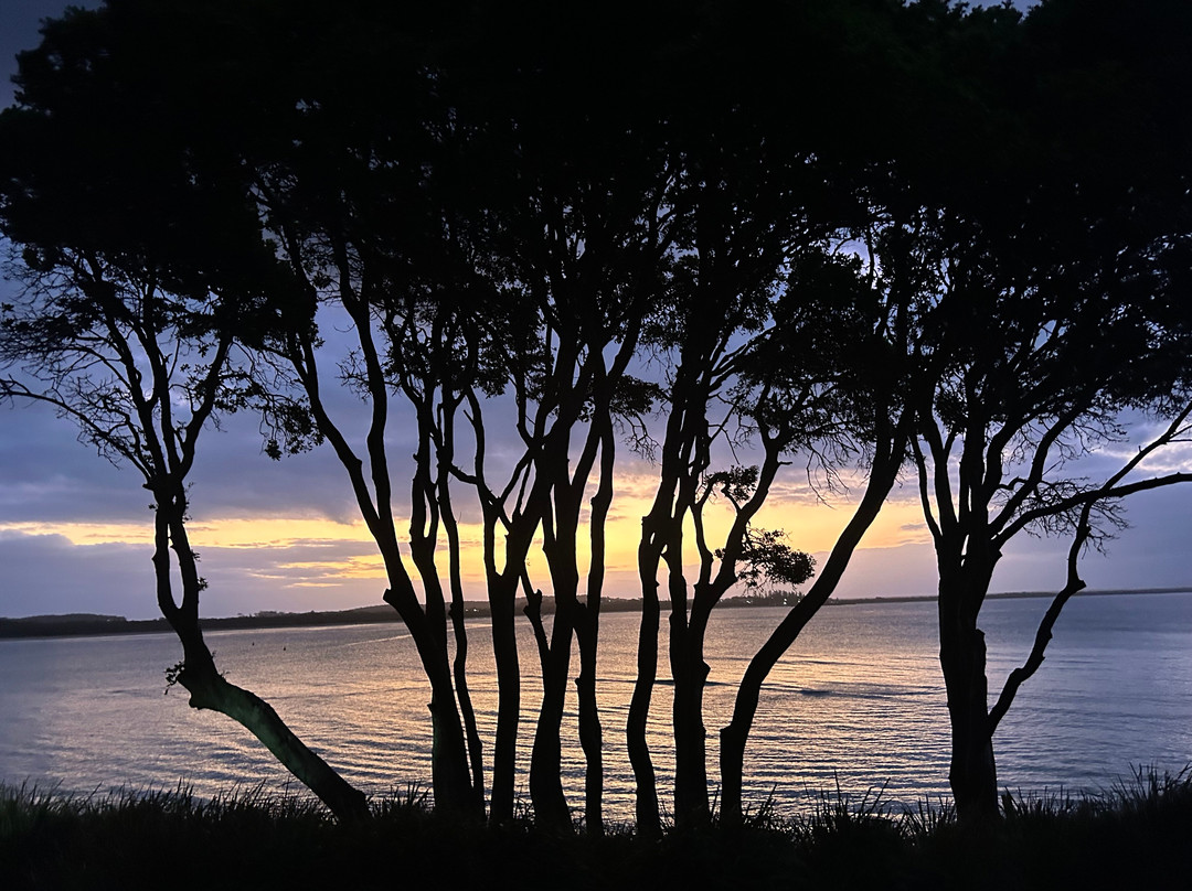 Trial Bay Gaol-西南岩必去景点