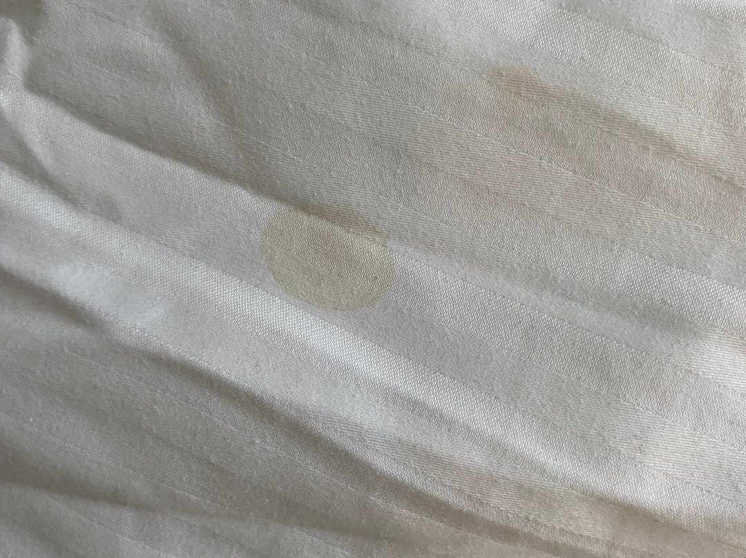 Hotel ECU - Different Hotels主图