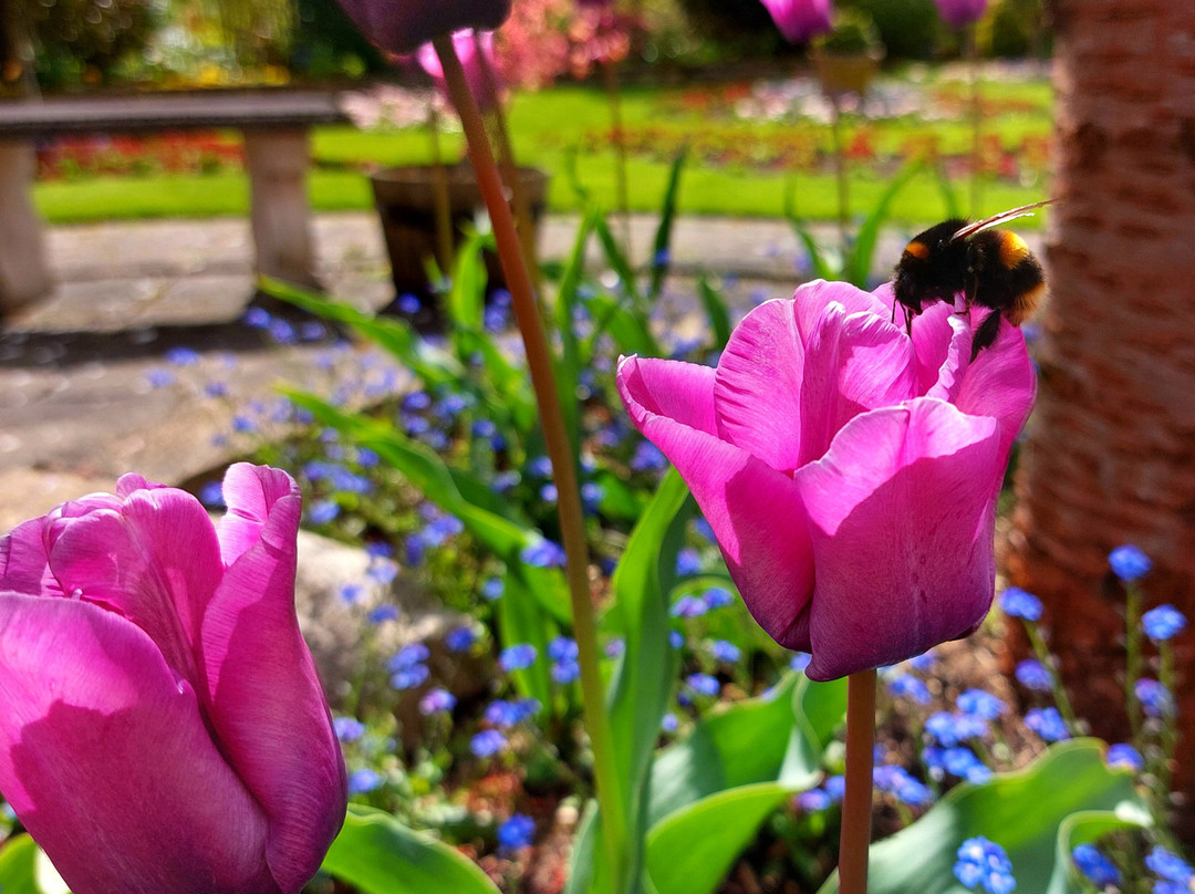 Oakgate Nursery & Garden Centre-Ellerdine必去景点