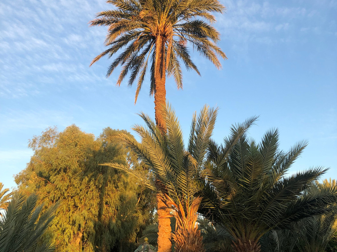 Hôtel Les Jardins De Ouarzazate主图