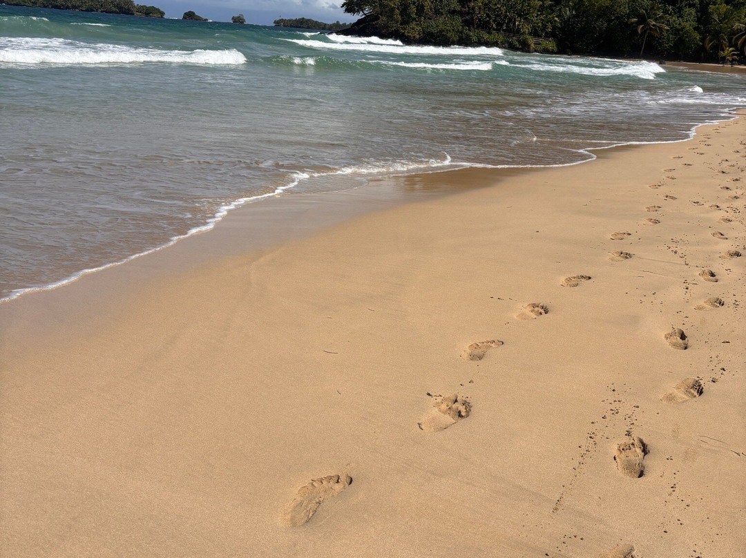 Red Frog Beach景点图片