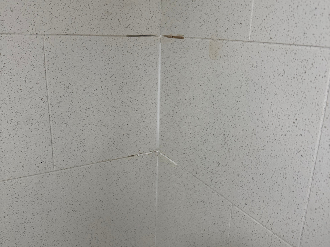 Best Western Plus Richmond Airport Hotel主图