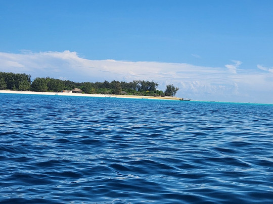 Mody Zanzibar Tours & Safaris-石头城必去景点