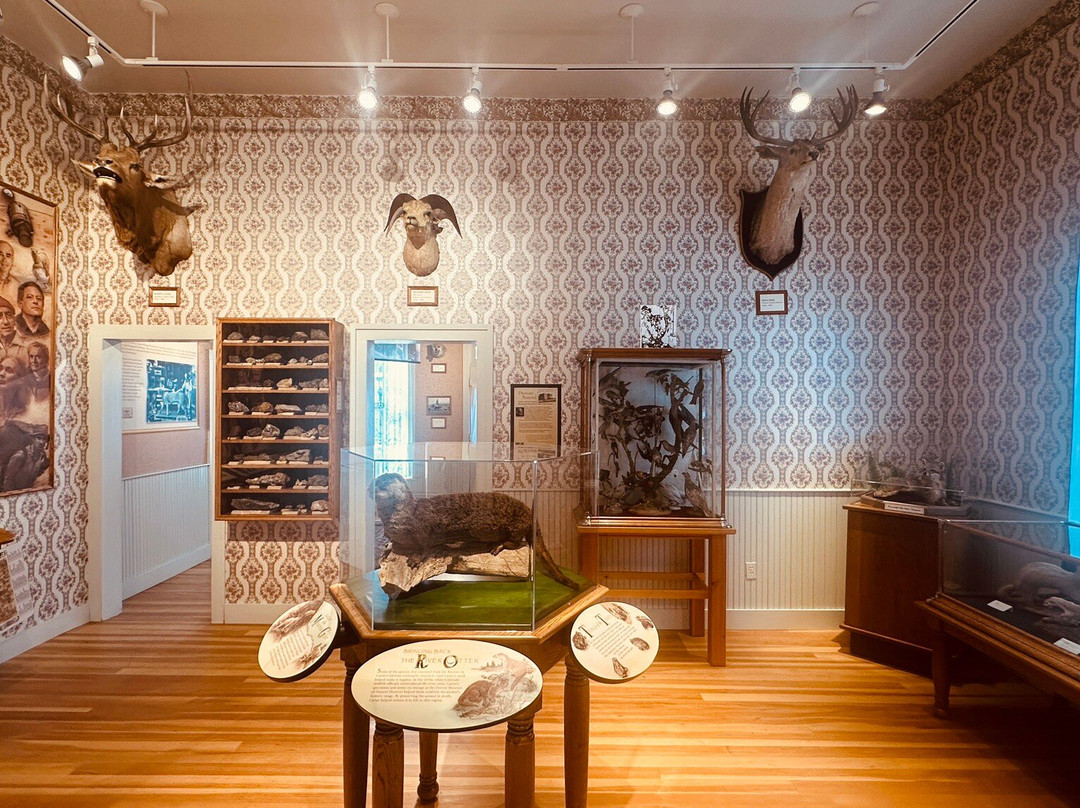 Edwin Carter Museum-布雷肯里奇必去景点