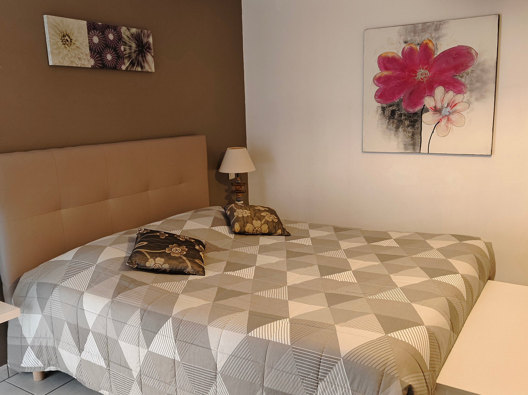 Hôtel Le Grand Jardin主图