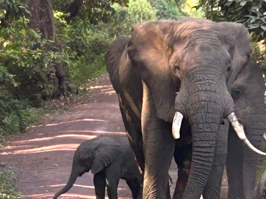 Evarest Adventures-阿鲁沙必去景点
