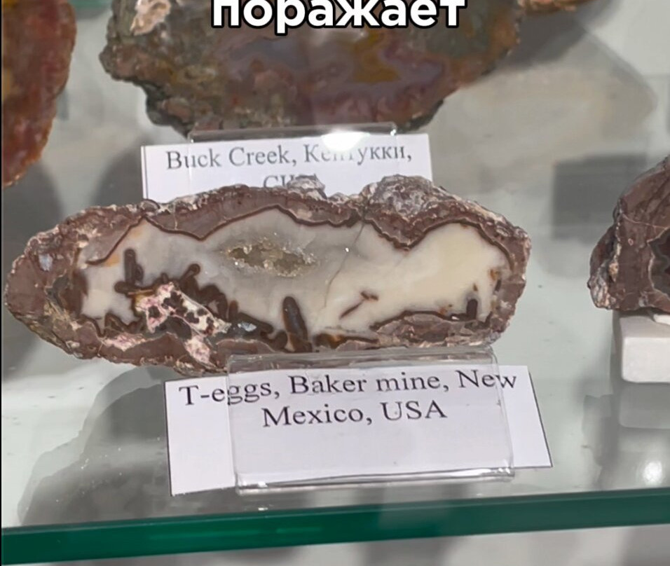 Museum of Stone and Minerals in Novorossiysk-Novorossiysk必去景点