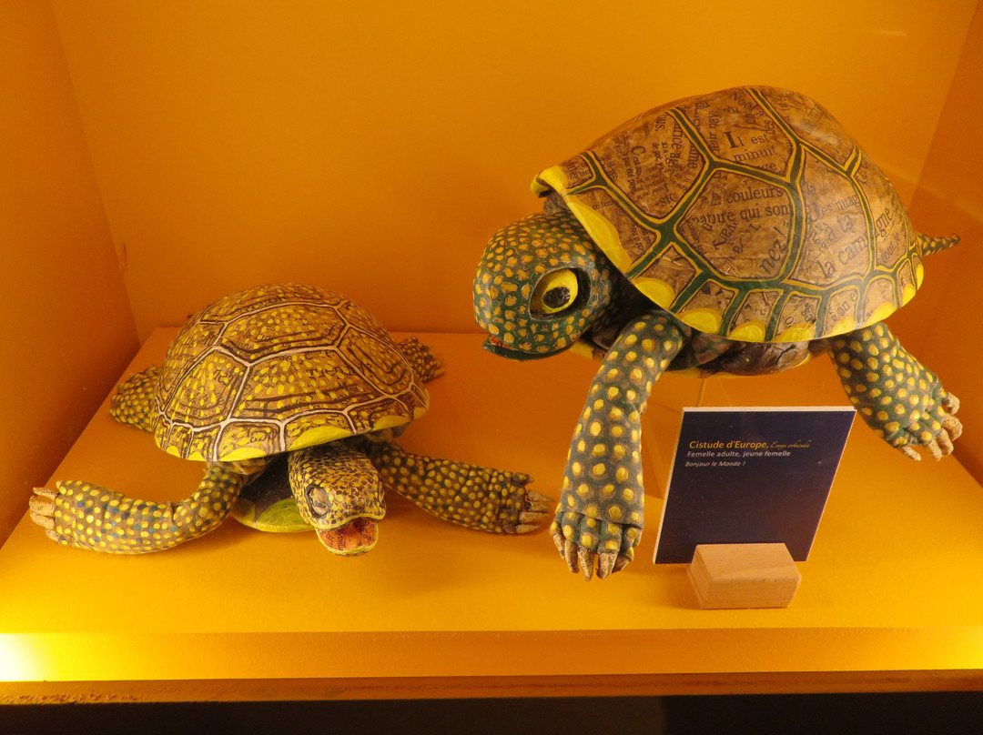 Musee du Papier景点图片