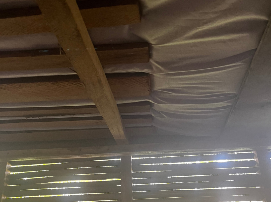 Ecohotel Kocoluu主图