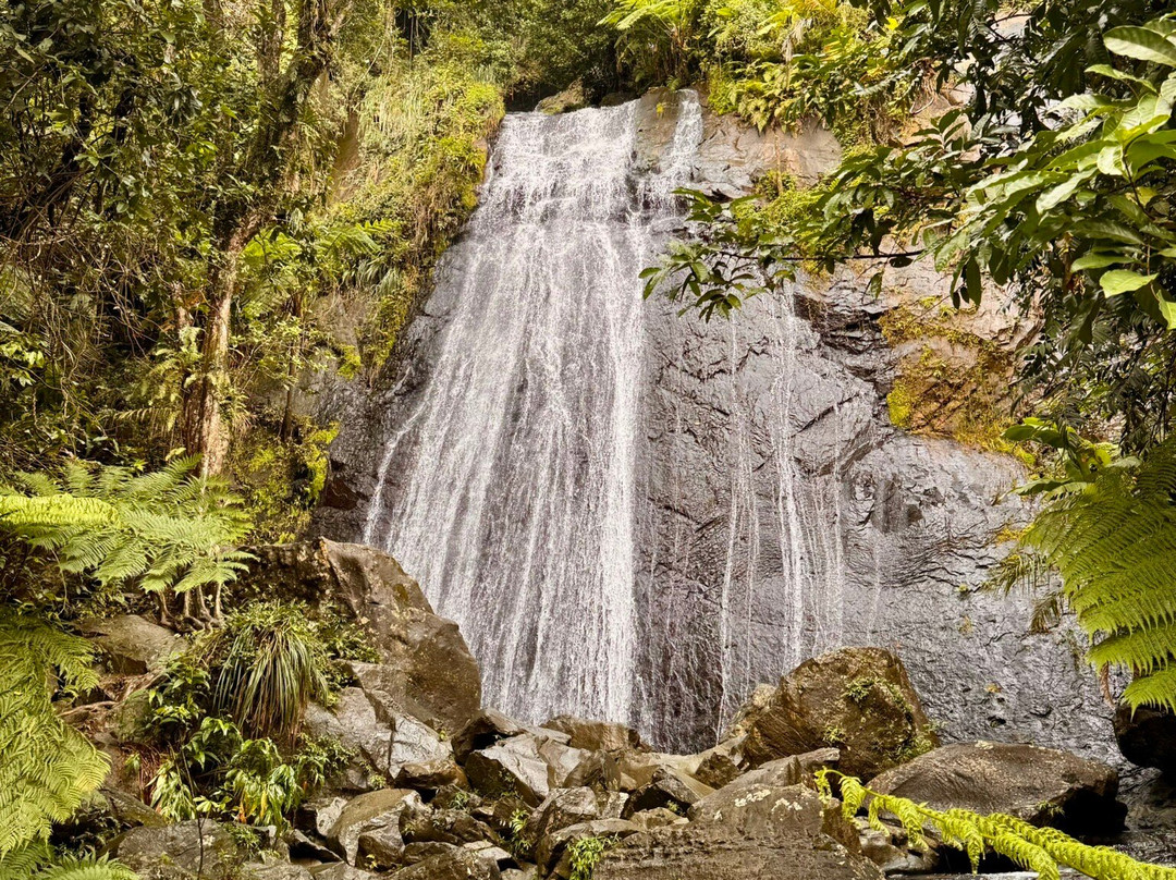 Catarata La Coca-云盖国家森林公园必去景点