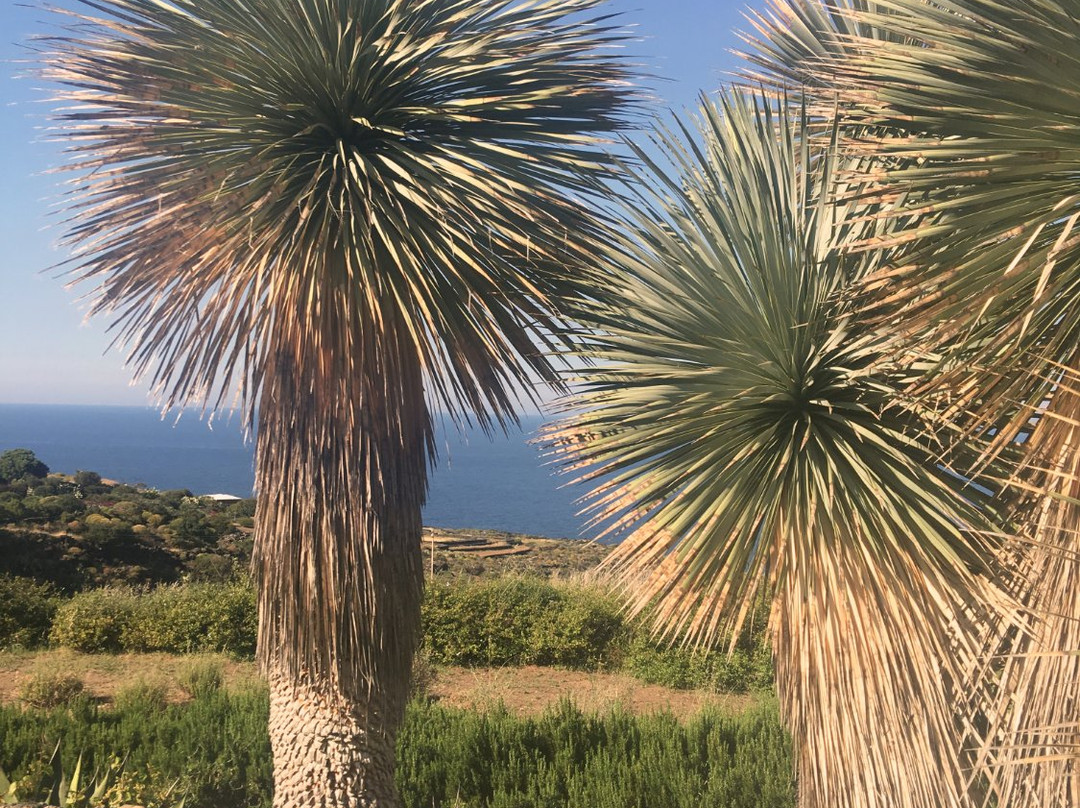 Pantelleria Dream Resort主图