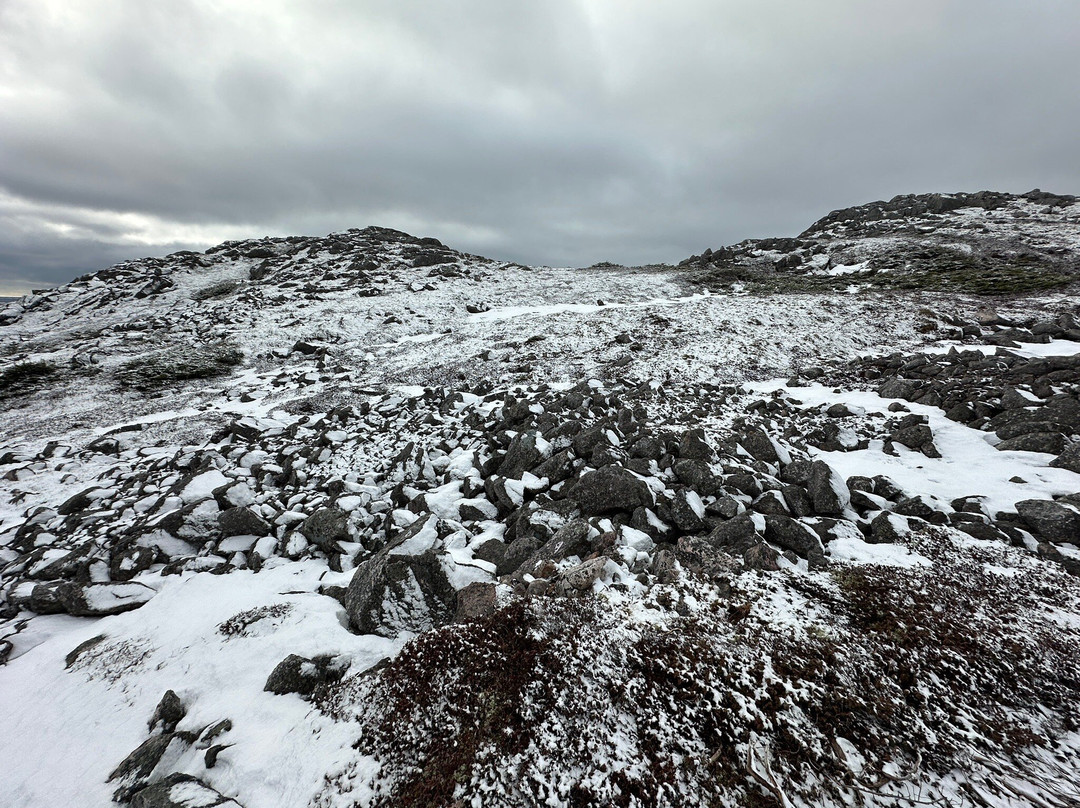 Escapade Insulaire-圣皮埃尔和密克隆必去景点