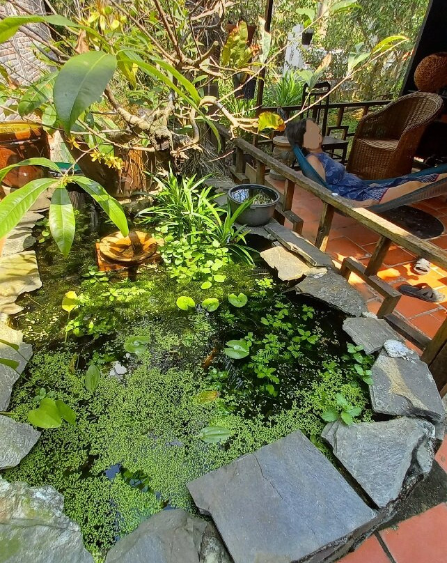 Charming Countryside Homestay主图