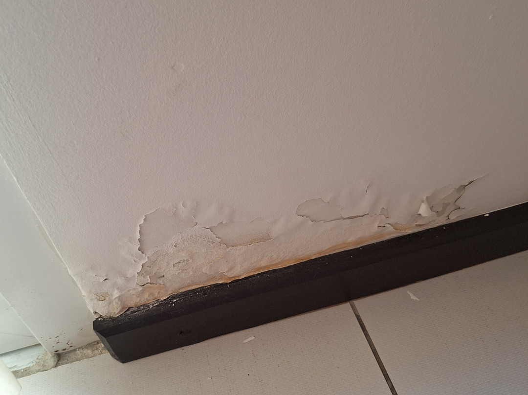 城中话题饭店及海滩俱乐部主图