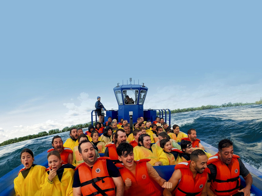 Saute-moutons Jet Boating-蒙特利尔必去景点