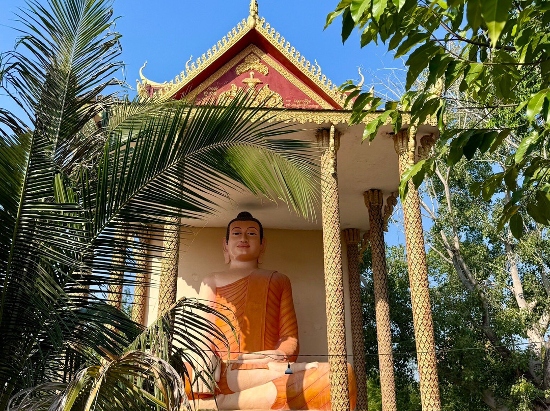 Kampong Pil Pagoda-马德望必去景点