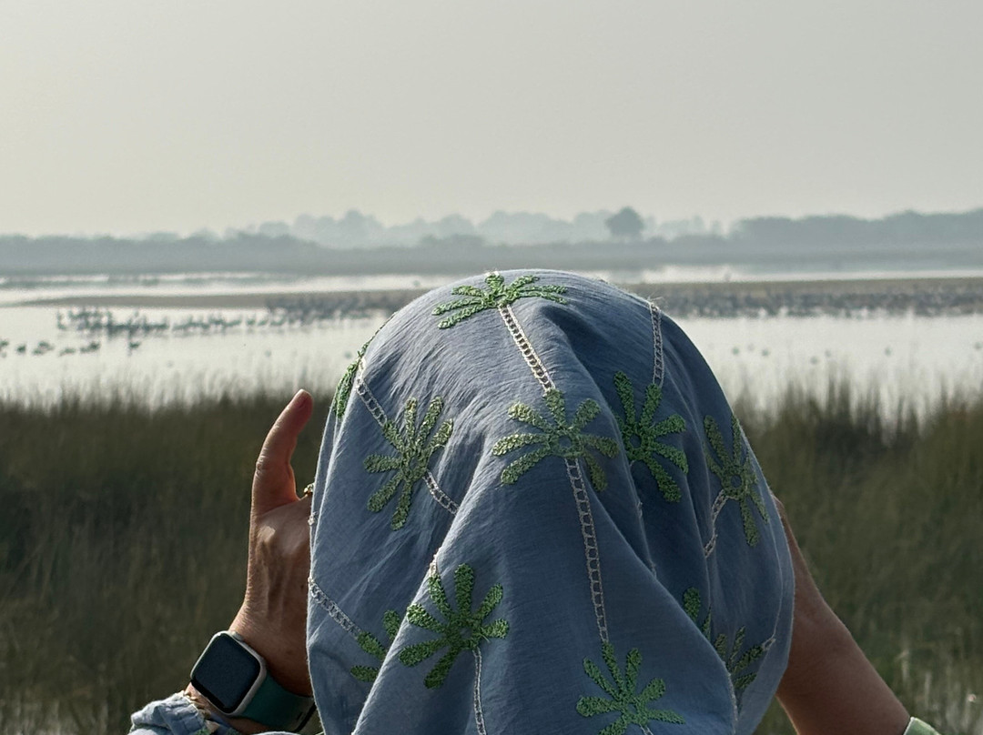 Nalsarovar Bird Sanctuary-Nalsarovar必去景点