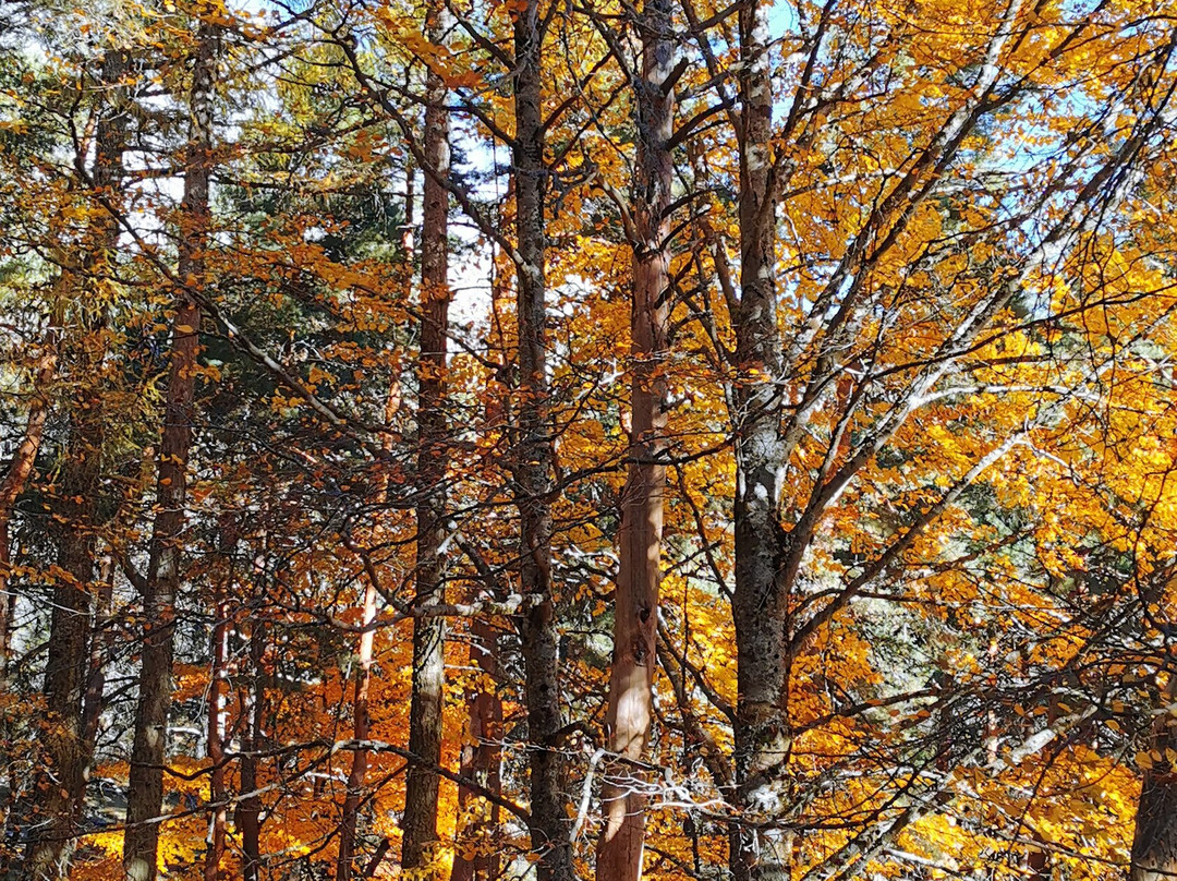 La Cruz De Rubens-埃尔·埃斯科里亚必去景点