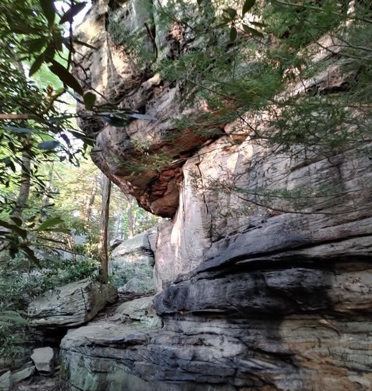 Coopers Rock State Forest景点图片