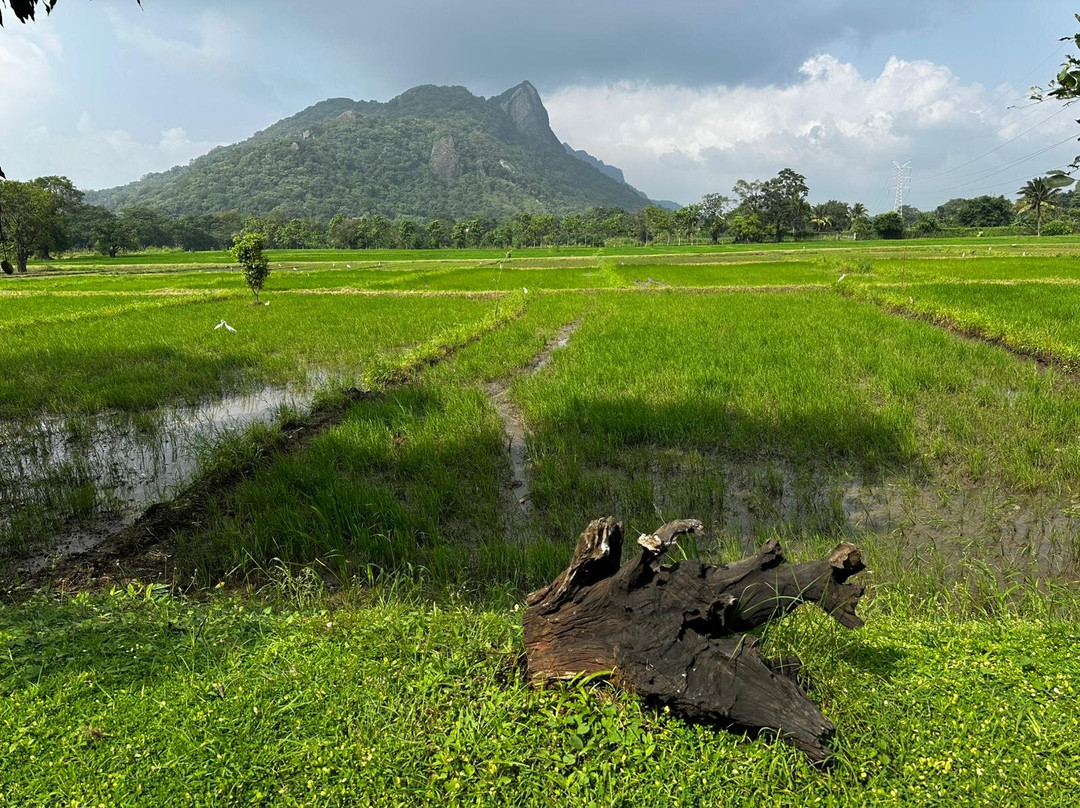 卡伦德瓦度假酒店主图