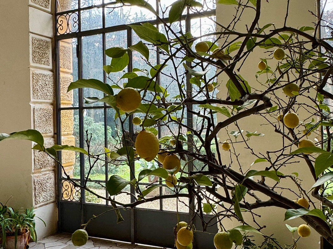 Longa旅游攻略图片