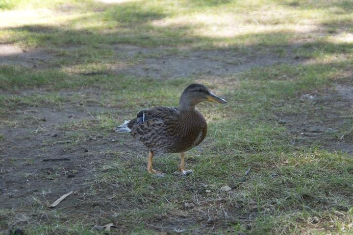 Blackhawk River Runs-Mazomanie必去景点