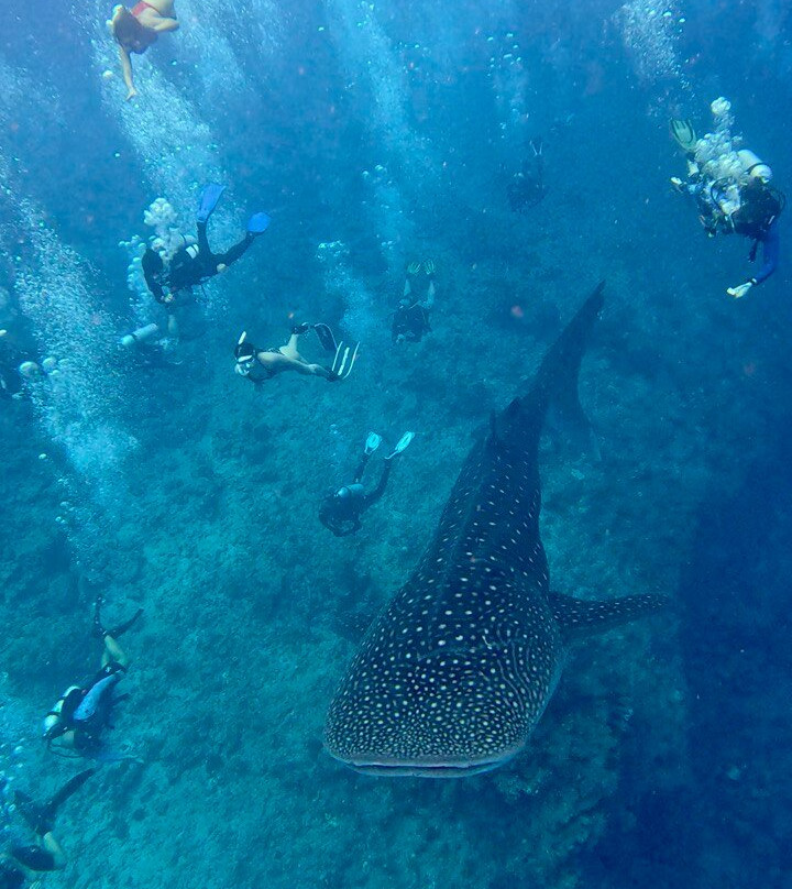 Endheri Dive Center景点图片