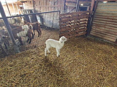 Cyprus Taste Tours - Larnaca-拉纳加必去景点